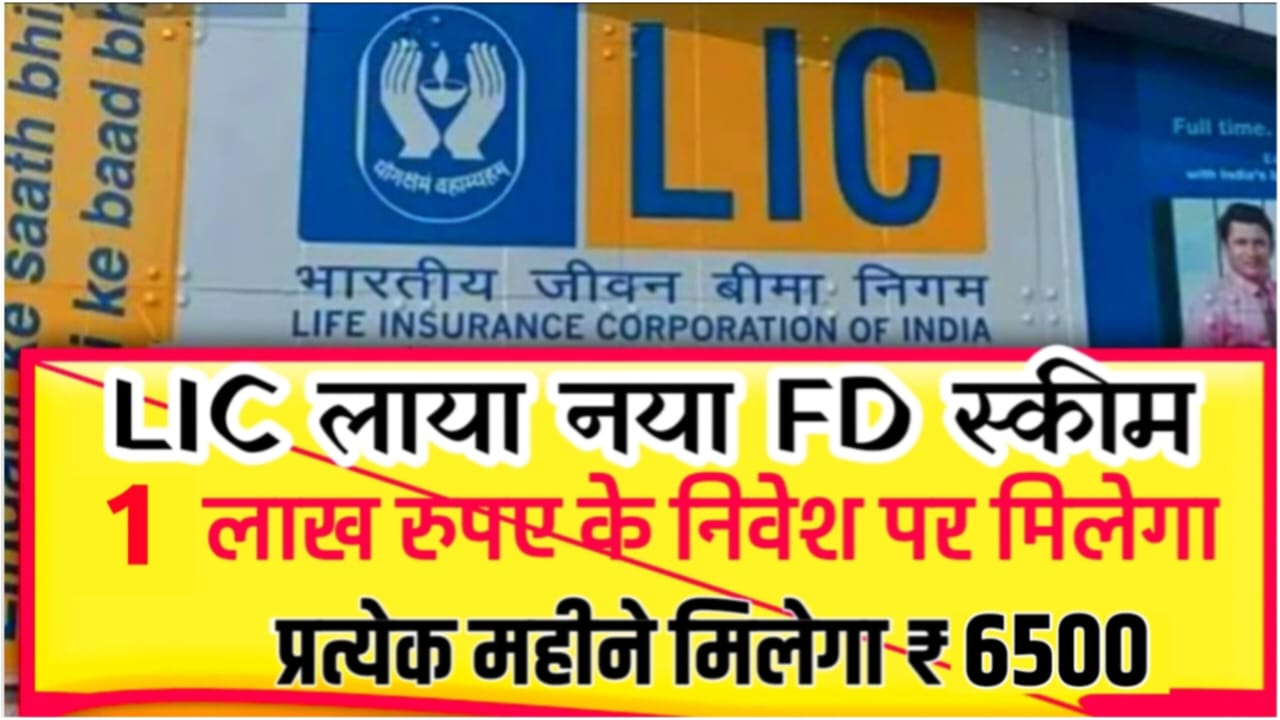 LIC FD Schemes